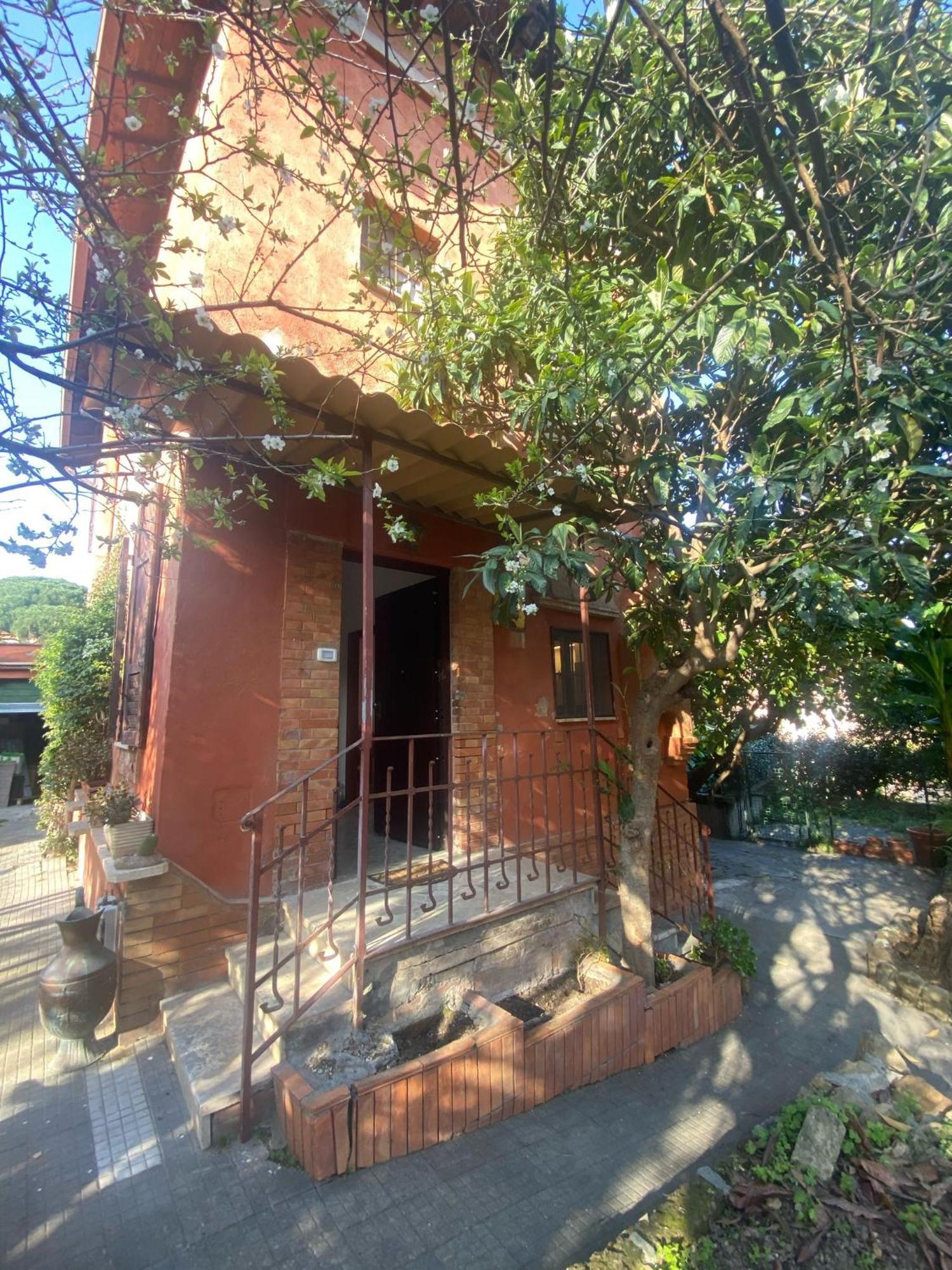 Lejlighed Garbata
